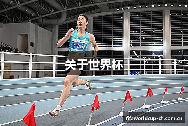 关于世界杯
